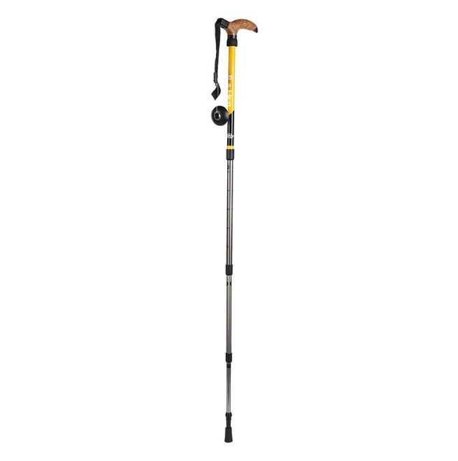 ZHXHW12 trekking pole