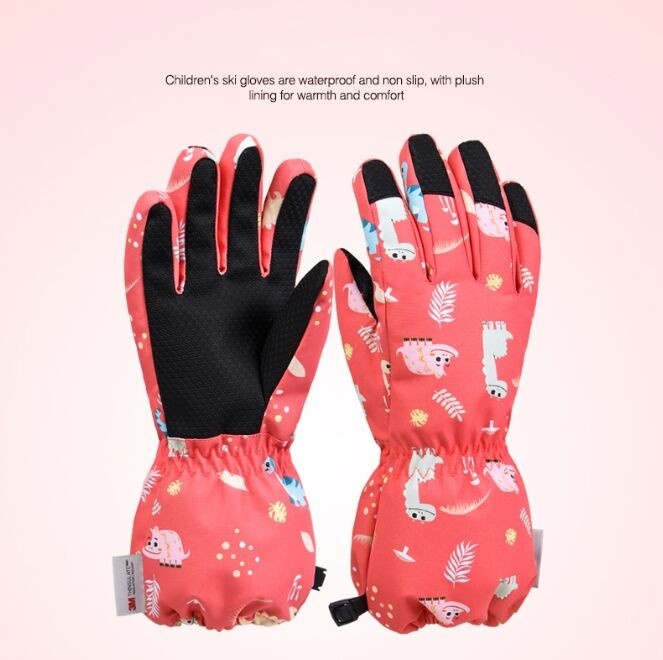 BNY19 snow gloves