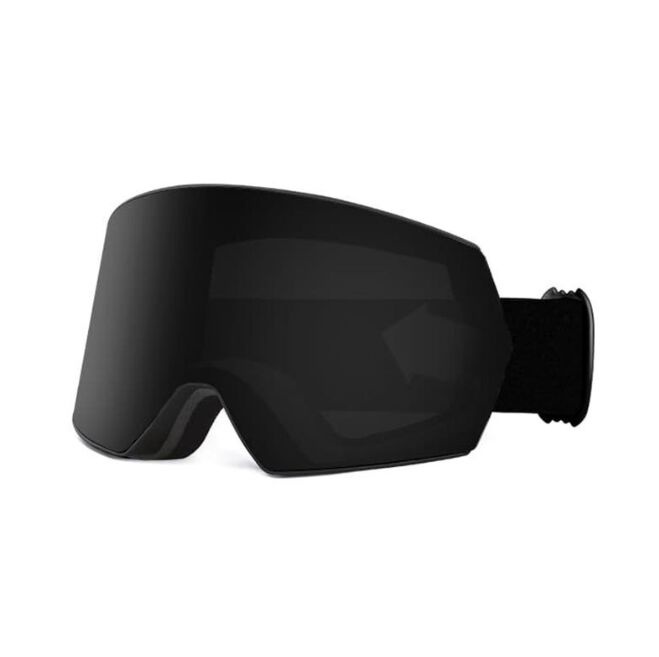 MOTY02 ski goggle