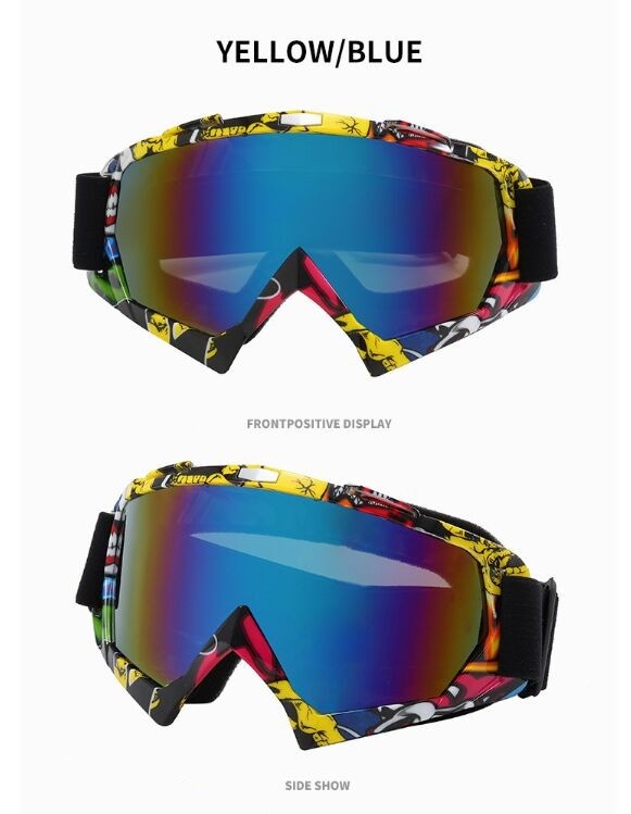 TBSH02 ski goggle