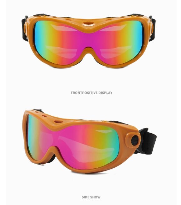 TBSH04 ski goggle