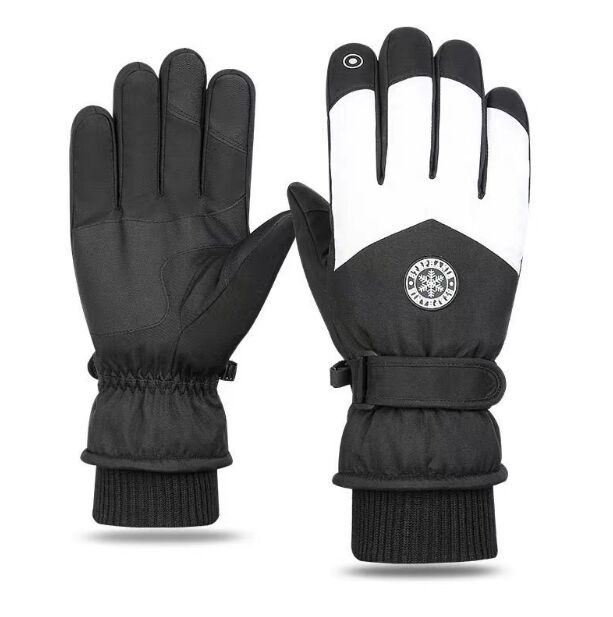TDFSH05 snow gloves