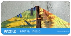 QSH13 Camping blanket
