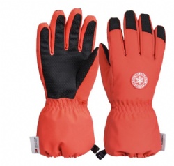 BNY17 snow gloves