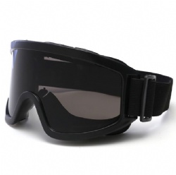 TBSH01 ski goggle