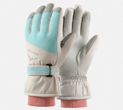 TDFSH03 snow gloves