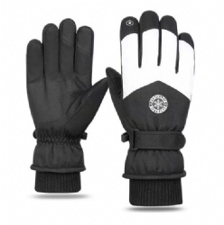 TDFSH05 snow gloves