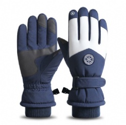 TDFSH05 snow gloves